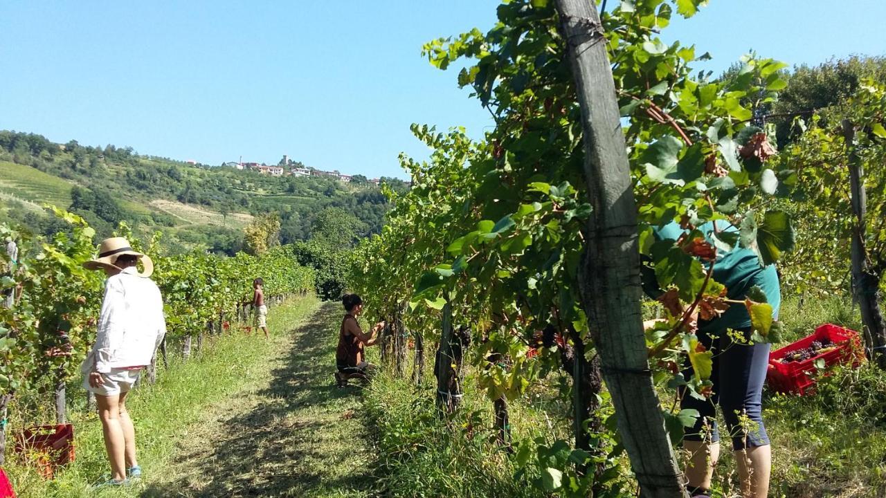 Farmstay Kmetija Stekar Kojsko Kültér fotó