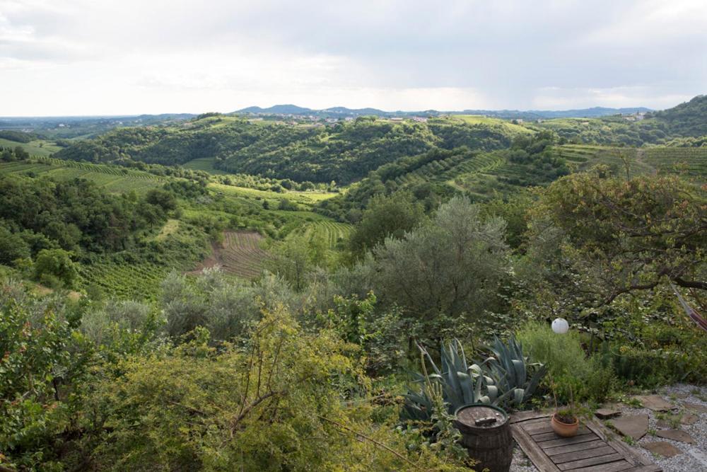Farmstay Kmetija Stekar Kojsko Kültér fotó