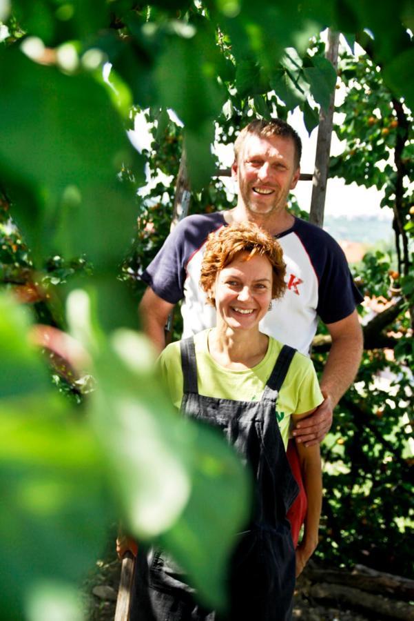 Farmstay Kmetija Stekar Kojsko Kültér fotó