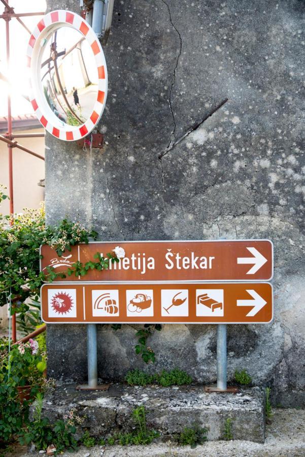 Farmstay Kmetija Stekar Kojsko Kültér fotó