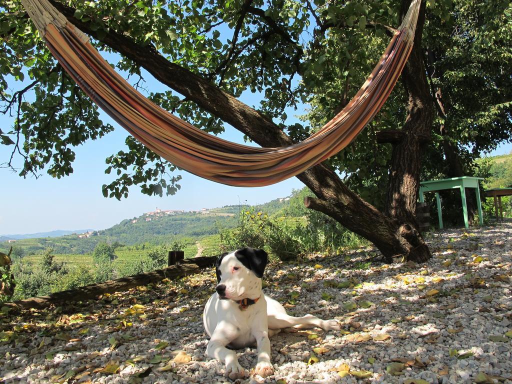 Farmstay Kmetija Stekar Kojsko Kültér fotó