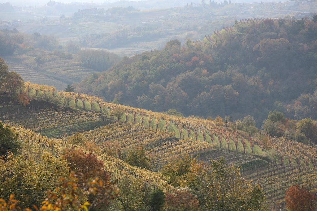 Farmstay Kmetija Stekar Kojsko Kültér fotó