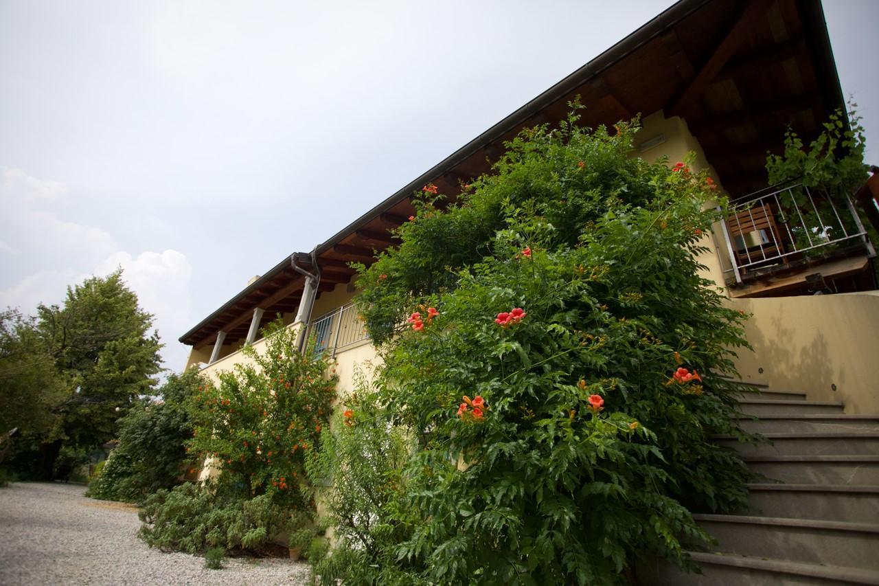 Farmstay Kmetija Stekar Kojsko Kültér fotó